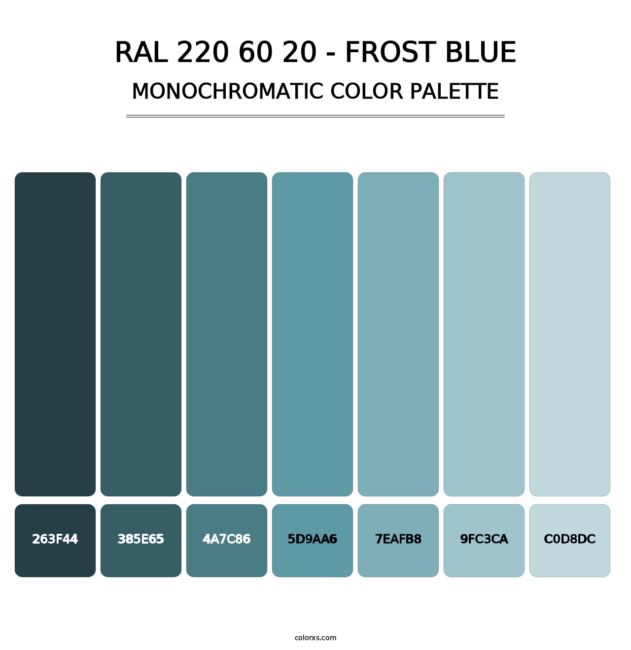 RAL 220 60 20 - Frost Blue - Monochromatic Color Palette