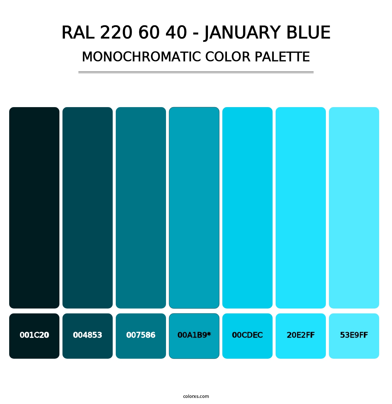 RAL 220 60 40 - January Blue - Monochromatic Color Palette