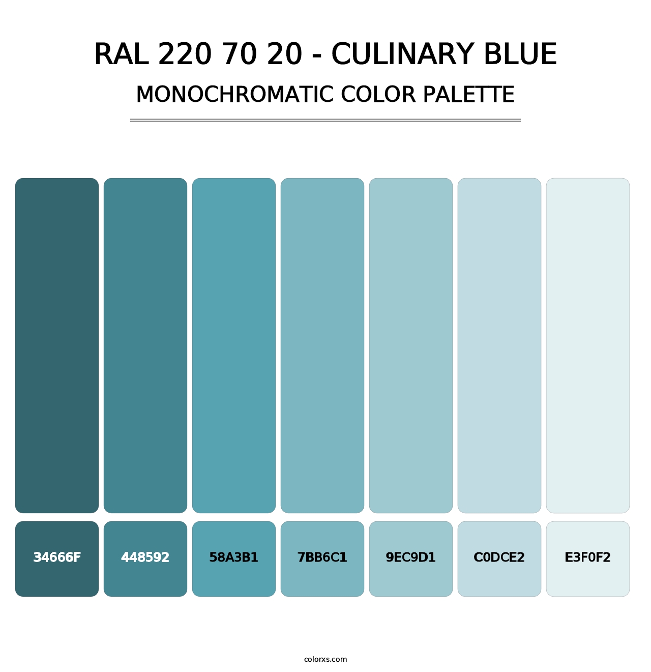 RAL 220 70 20 - Culinary Blue - Monochromatic Color Palette