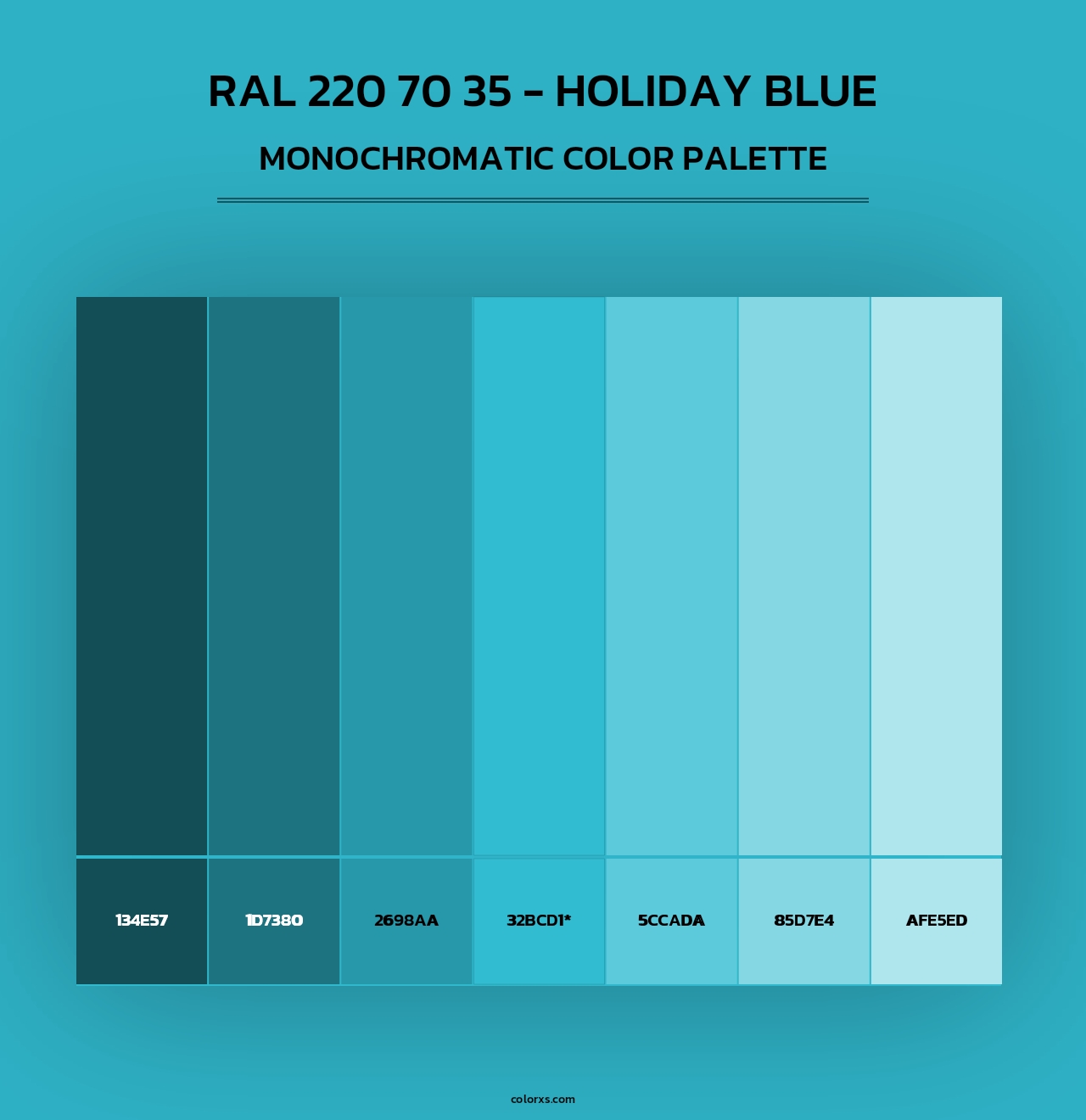 RAL 220 70 35 - Holiday Blue - Monochromatic Color Palette