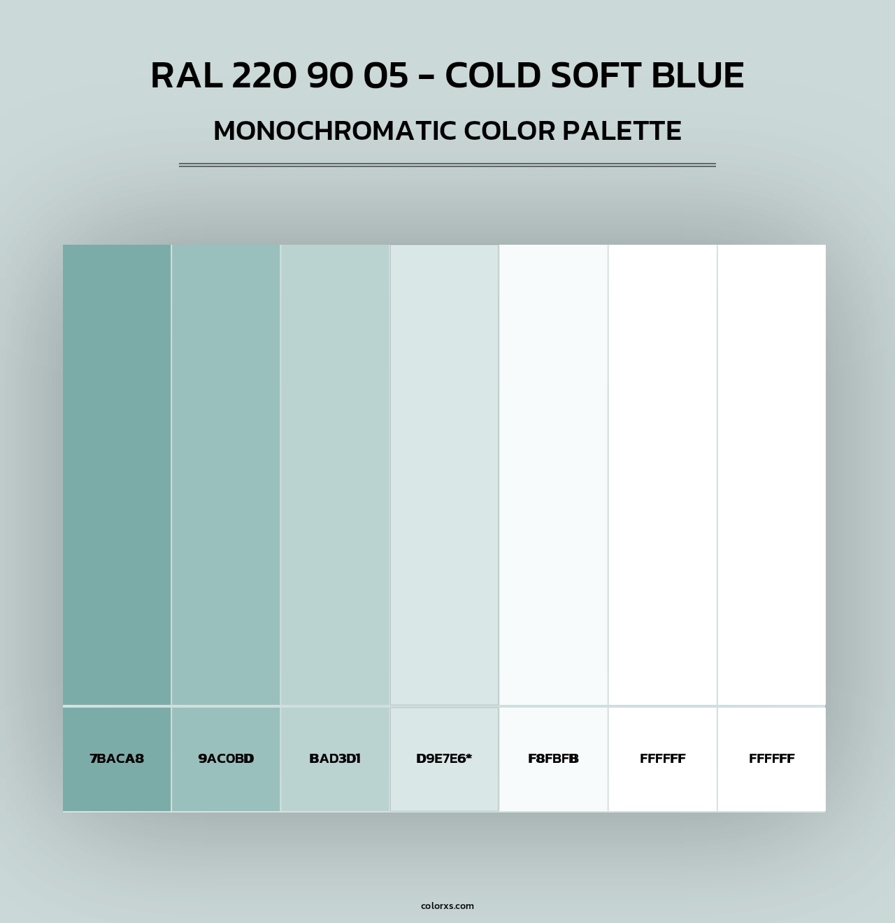 RAL 220 90 05 - Cold Soft Blue - Monochromatic Color Palette