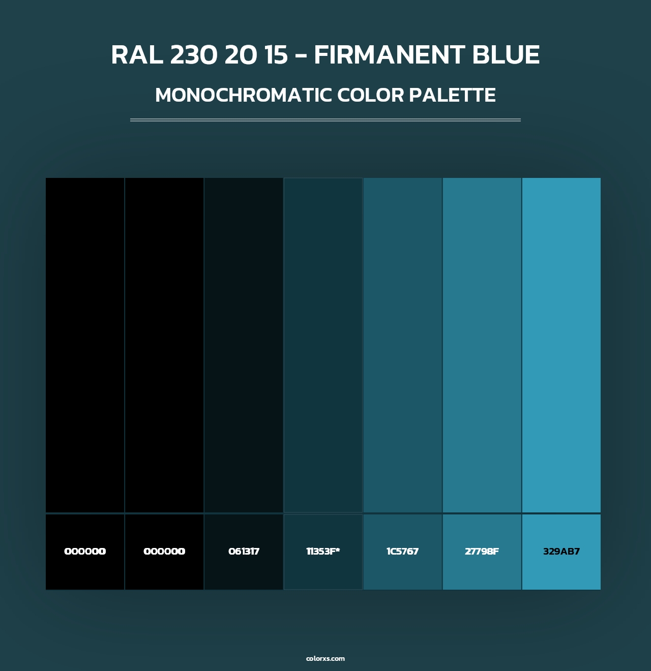RAL 230 20 15 - Firmanent Blue - Monochromatic Color Palette
