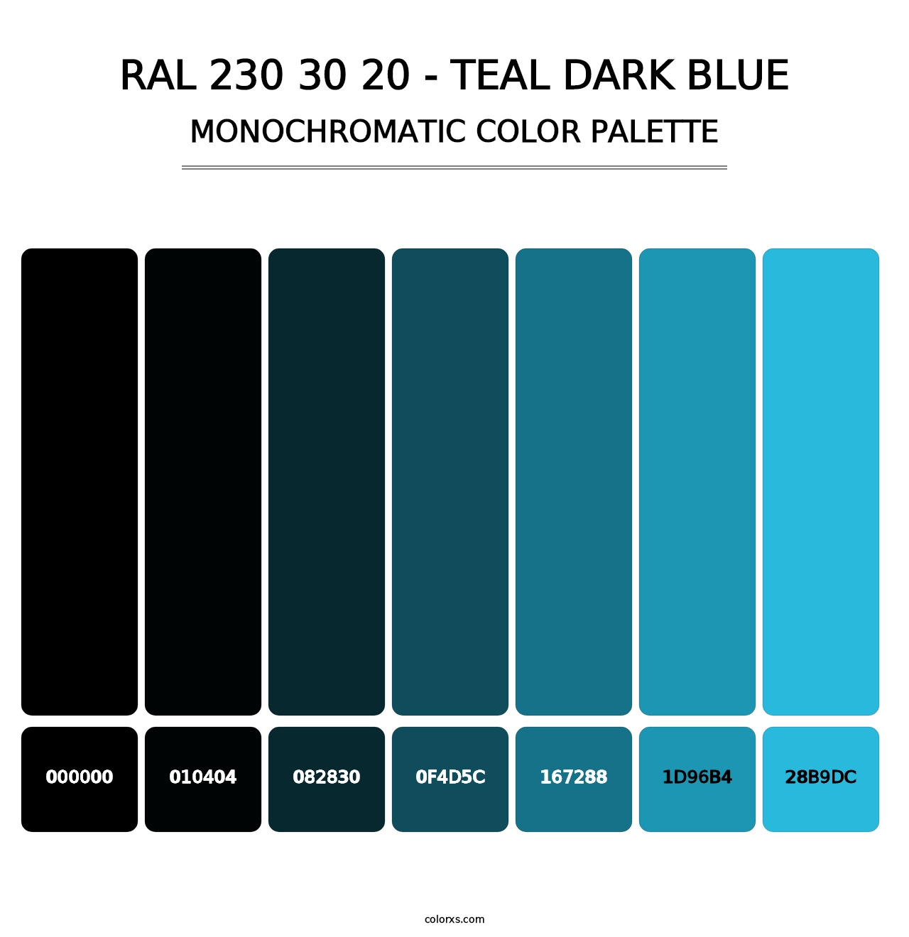 RAL 230 30 20 - Teal Dark Blue - Monochromatic Color Palette