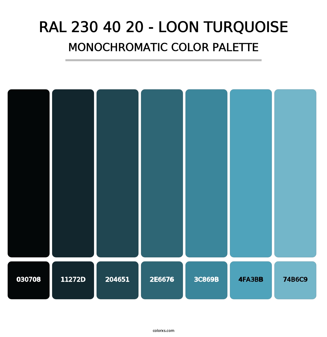 RAL 230 40 20 - Loon Turquoise - Monochromatic Color Palette