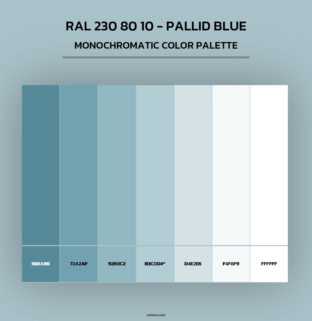 RAL 230 80 10 - Pallid Blue - Monochromatic Color Palette