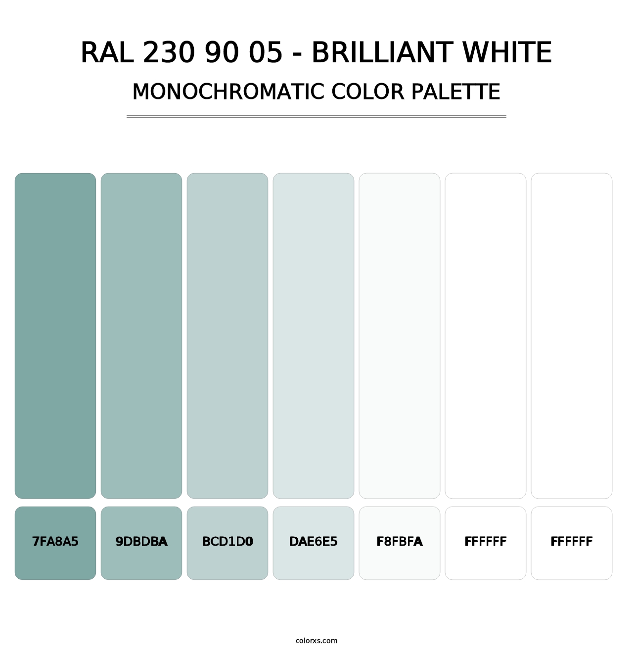 RAL 230 90 05 - Brilliant White - Monochromatic Color Palette