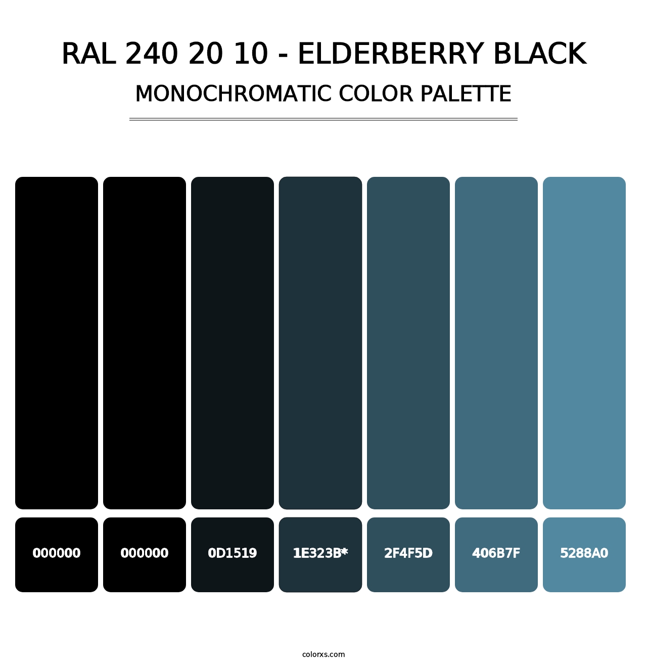 RAL 240 20 10 - Elderberry Black - Monochromatic Color Palette