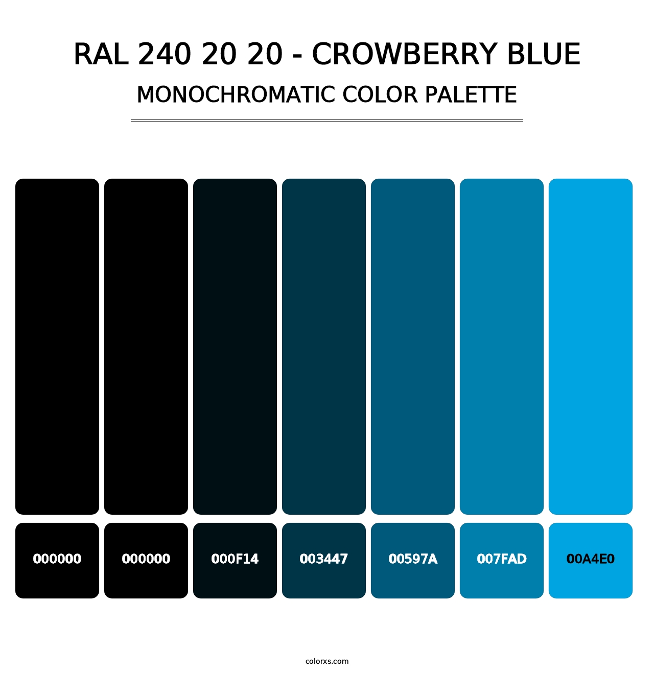 RAL 240 20 20 - Crowberry Blue - Monochromatic Color Palette