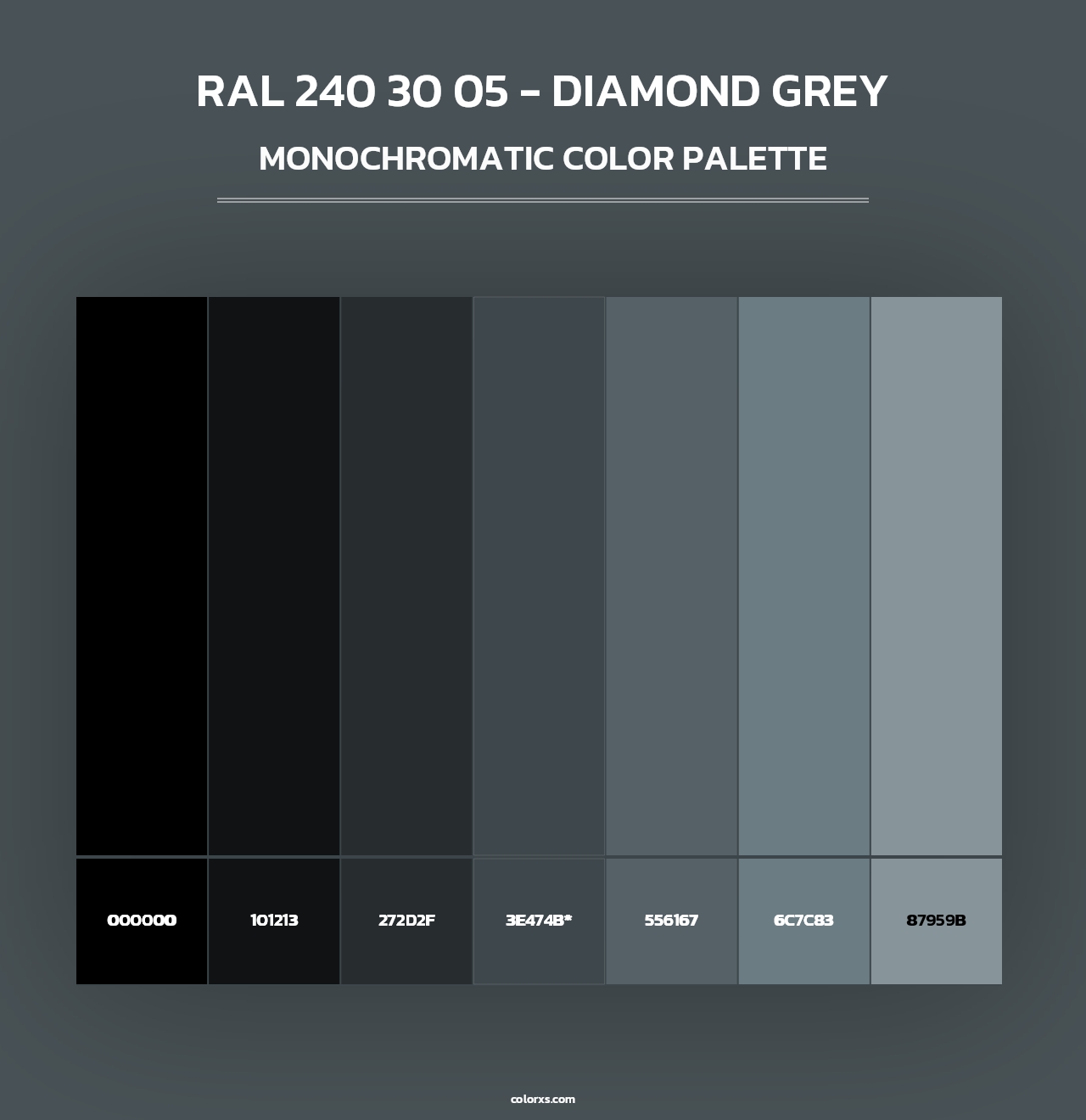 RAL 240 30 05 - Diamond Grey - Monochromatic Color Palette