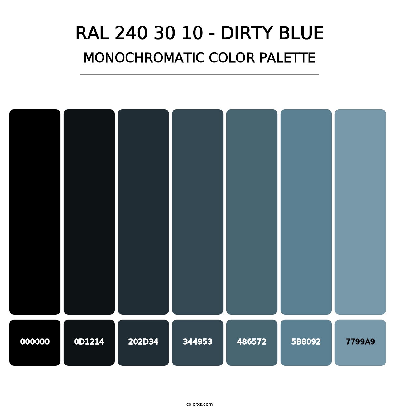 RAL 240 30 10 - Dirty Blue - Monochromatic Color Palette