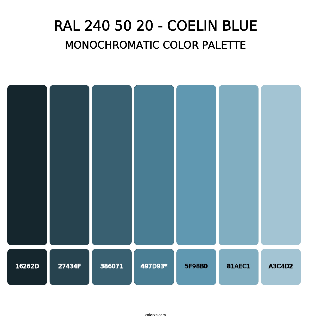 RAL 240 50 20 - Coelin Blue - Monochromatic Color Palette