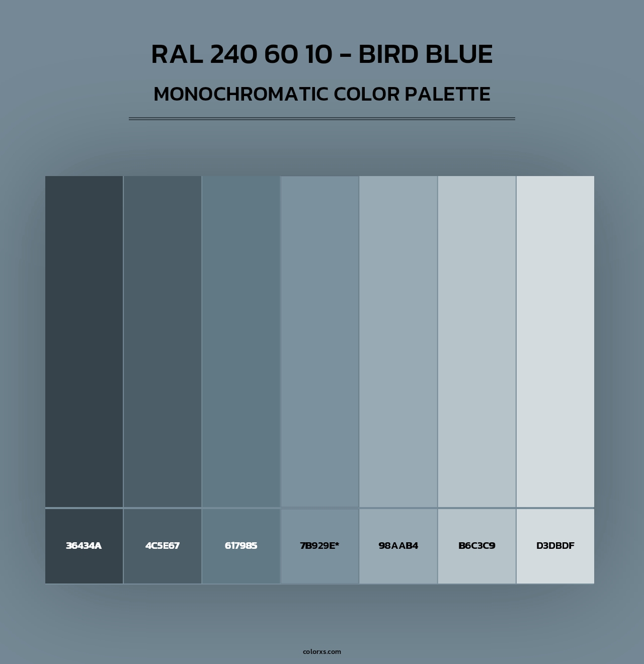 RAL 240 60 10 - Bird Blue - Monochromatic Color Palette