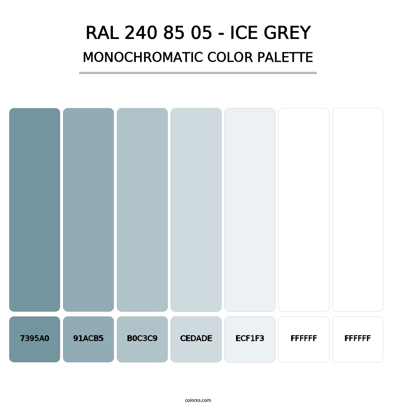 RAL 240 85 05 - Ice Grey - Monochromatic Color Palette