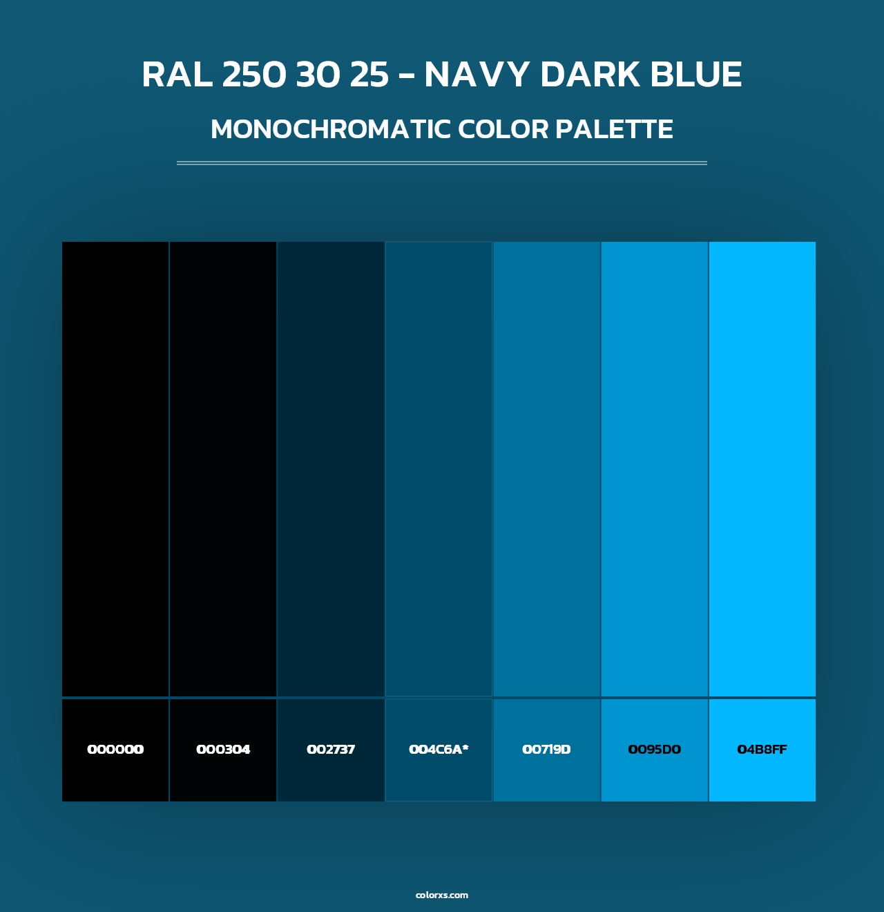 RAL 250 30 25 - Navy Dark Blue - Monochromatic Color Palette