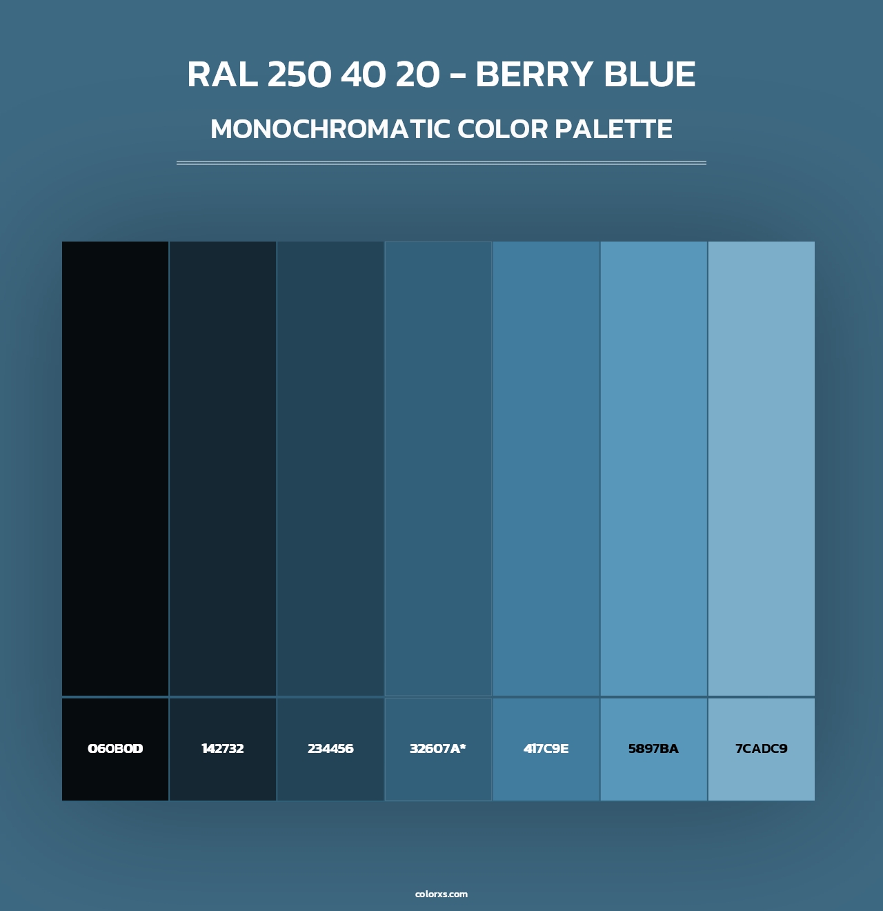 RAL 250 40 20 - Berry Blue - Monochromatic Color Palette