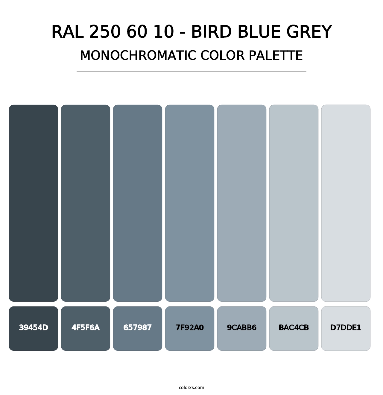 RAL 250 60 10 - Bird Blue Grey - Monochromatic Color Palette