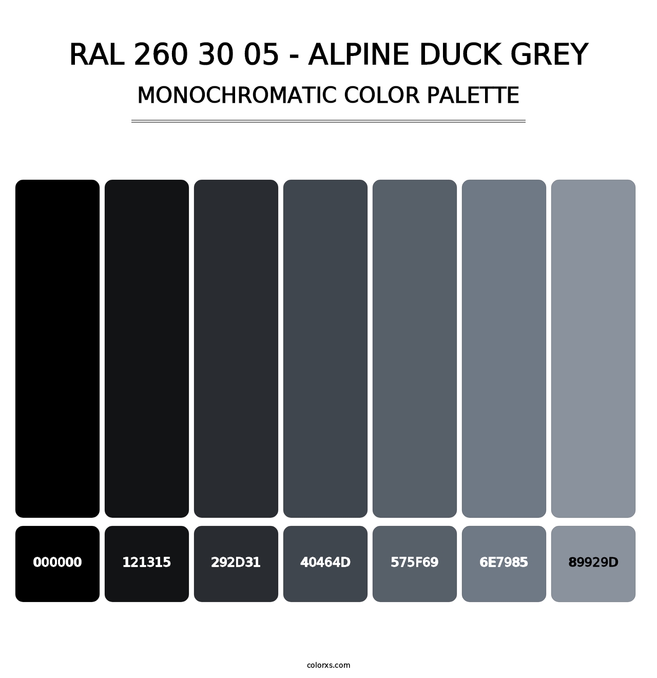 RAL 260 30 05 - Alpine Duck Grey - Monochromatic Color Palette