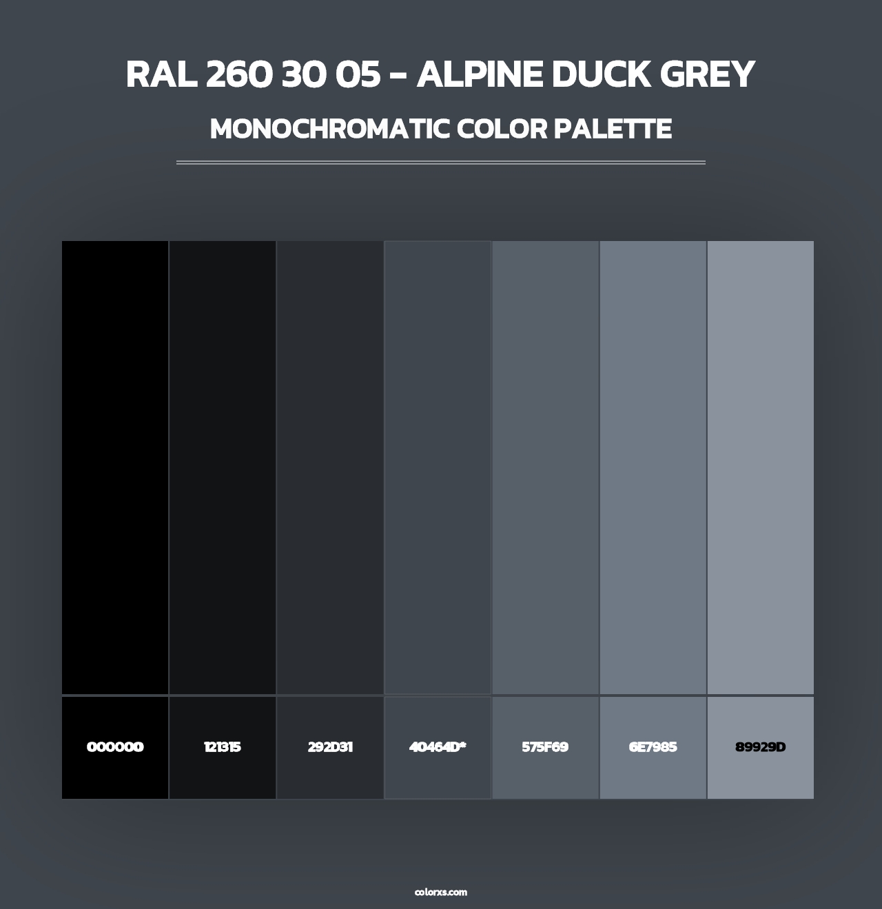 RAL 260 30 05 - Alpine Duck Grey - Monochromatic Color Palette