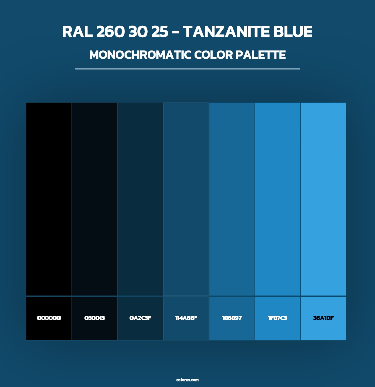 RAL 260 30 25 - Tanzanite Blue - Monochromatic Color Palette