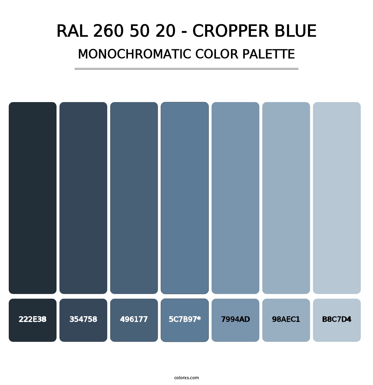 RAL 260 50 20 - Cropper Blue - Monochromatic Color Palette