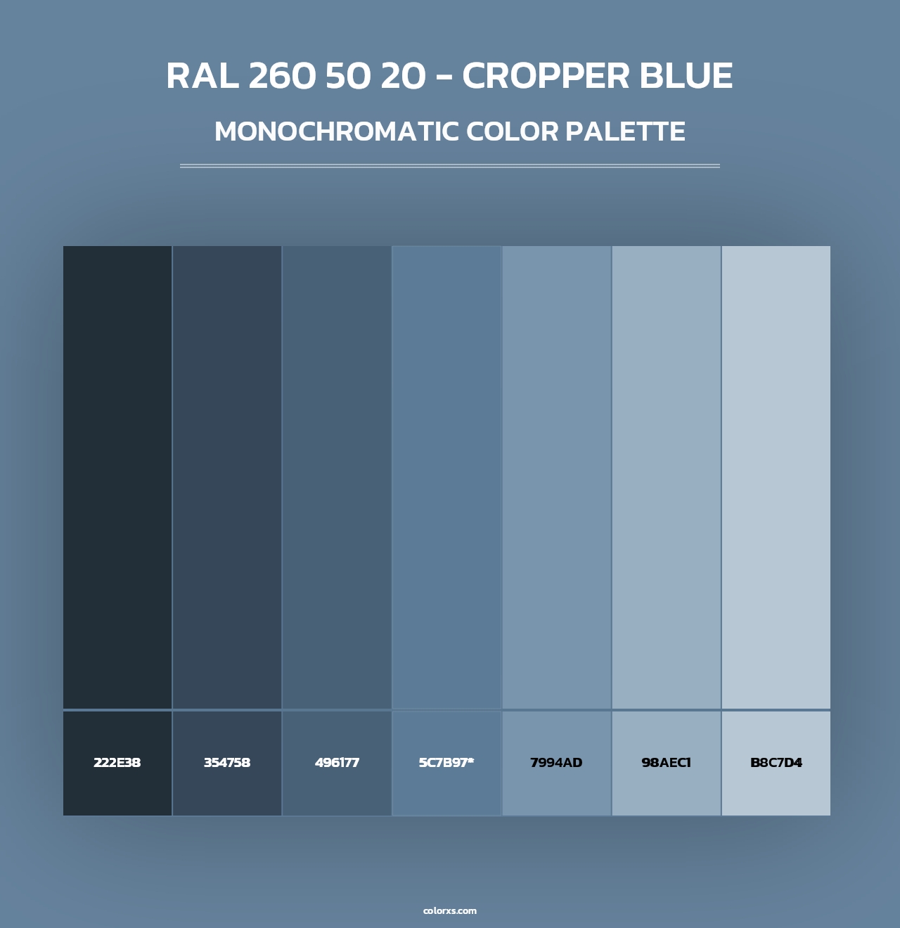 RAL 260 50 20 - Cropper Blue - Monochromatic Color Palette
