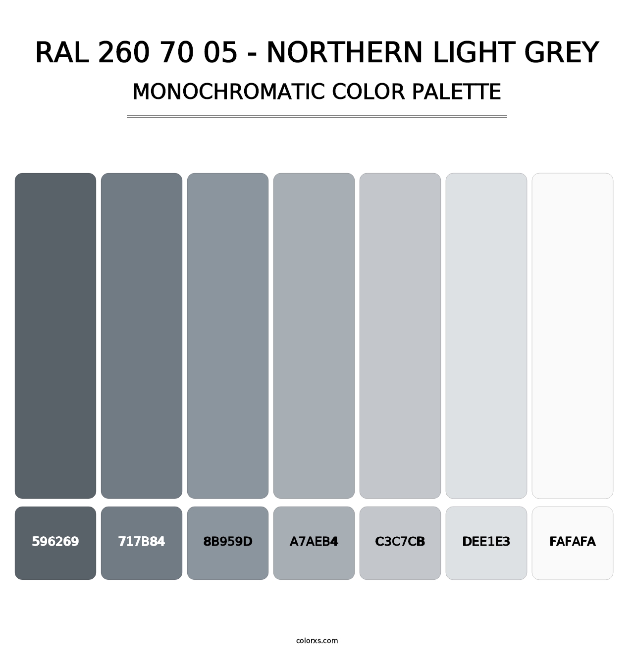 RAL 260 70 05 - Northern Light Grey - Monochromatic Color Palette