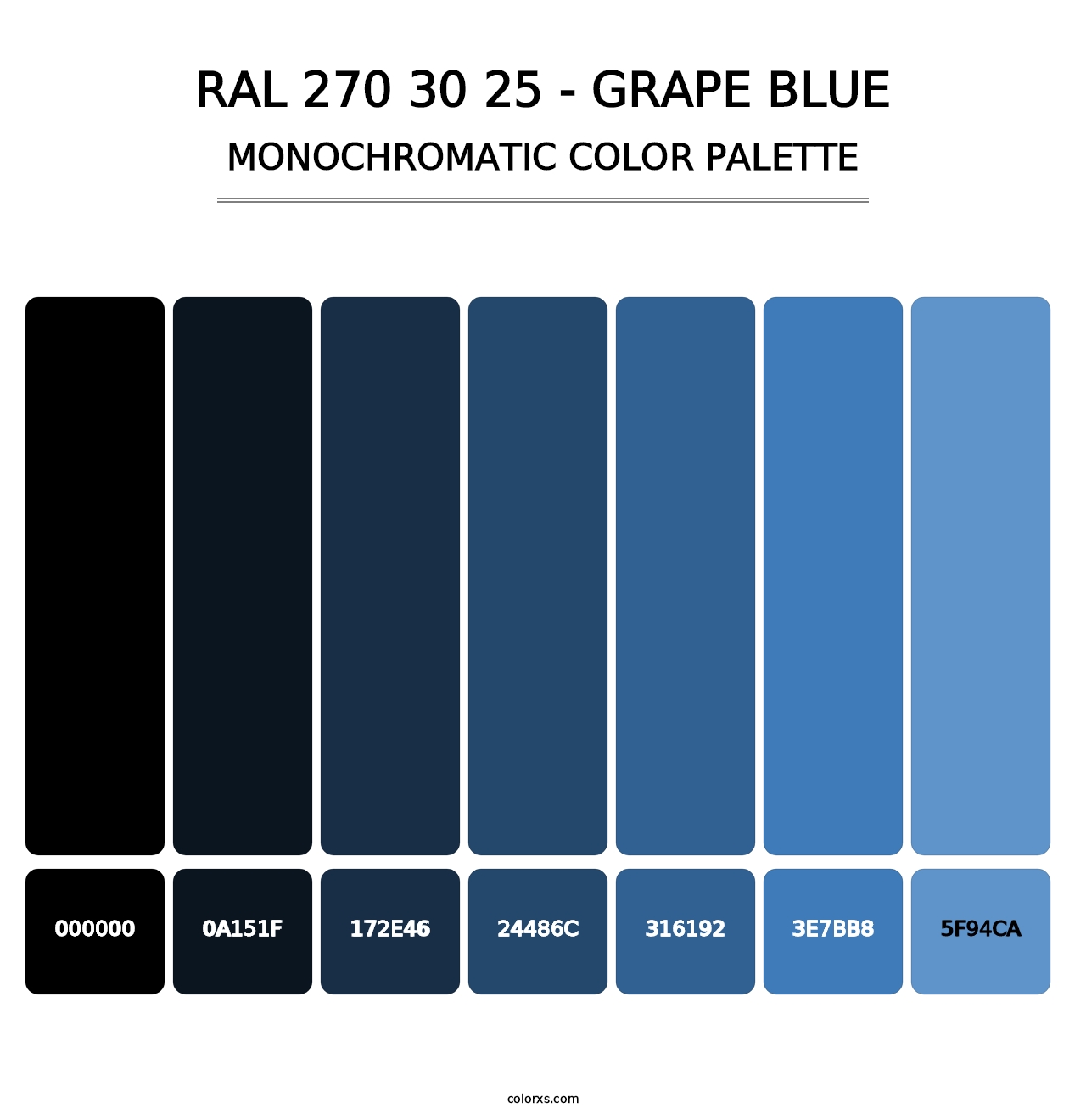 RAL 270 30 25 - Grape Blue - Monochromatic Color Palette