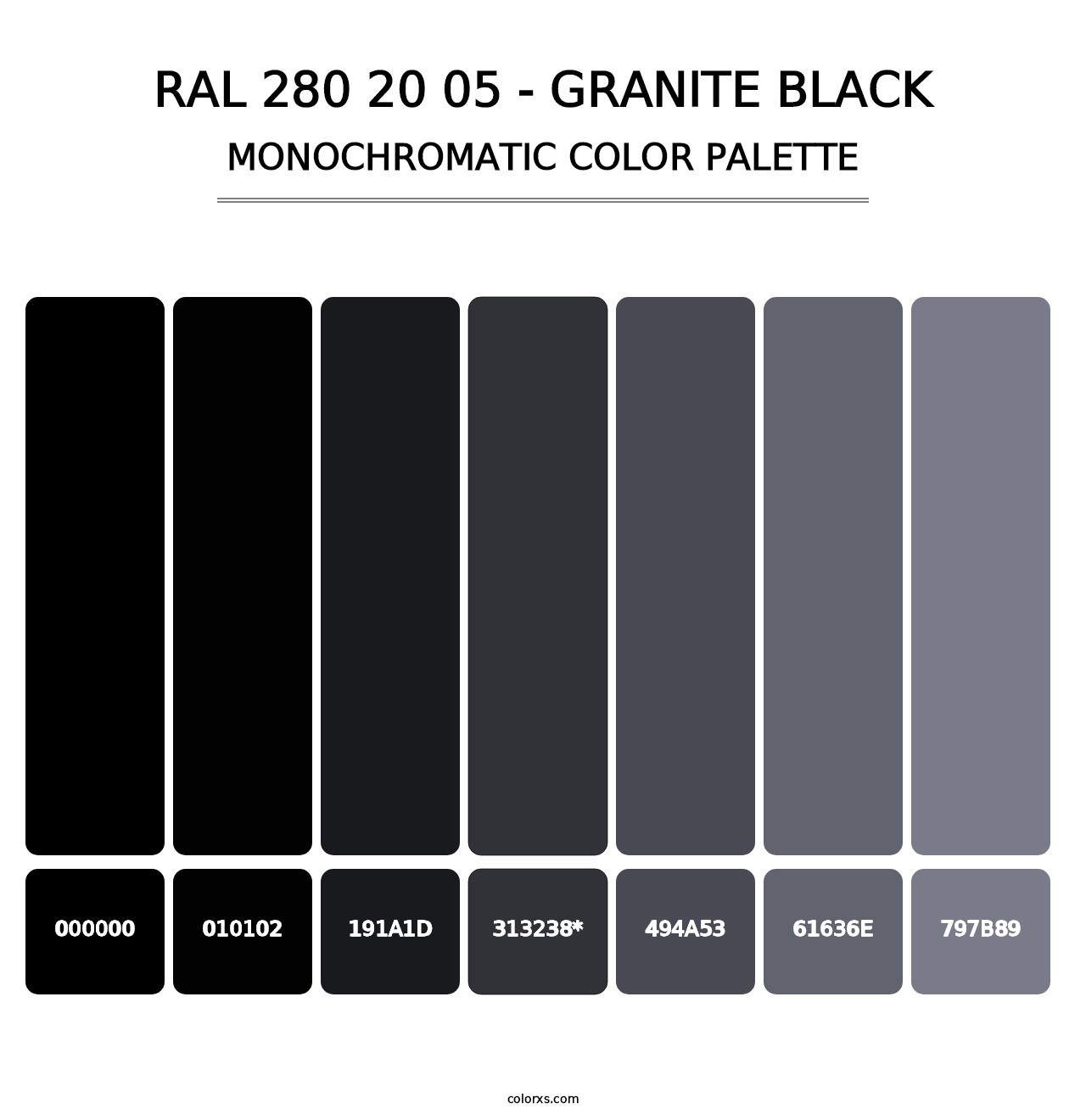 RAL 280 20 05 - Granite Black - Monochromatic Color Palette