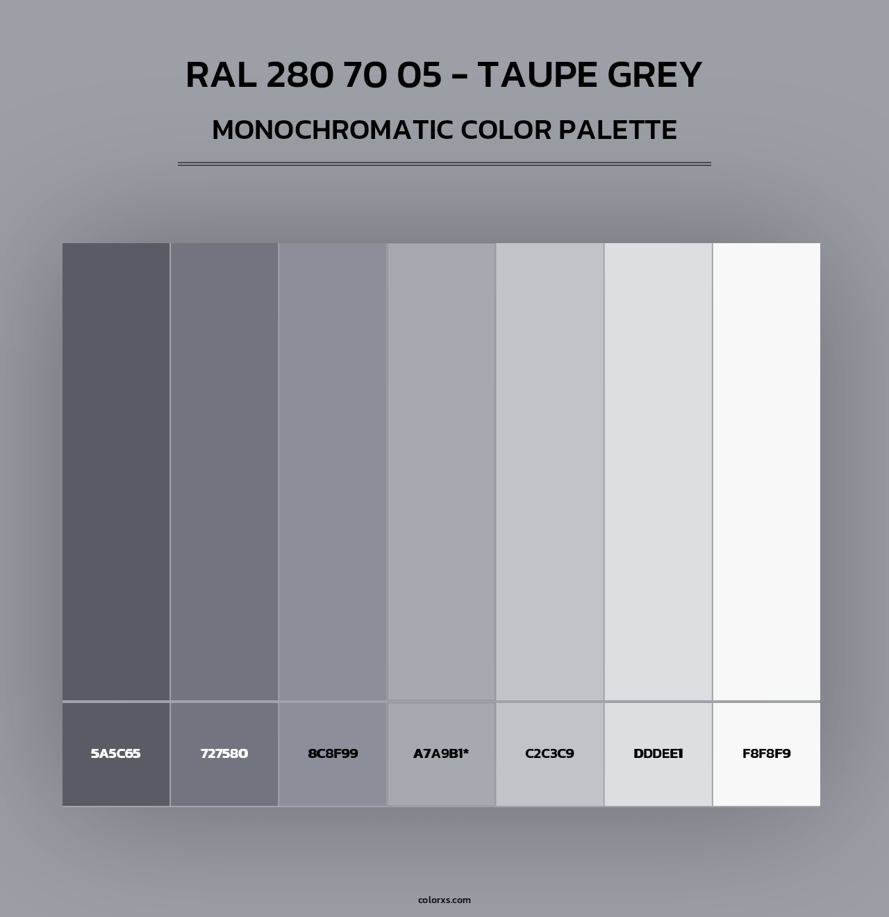 RAL 280 70 05 - Taupe Grey - Monochromatic Color Palette