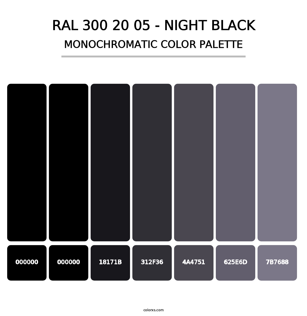 RAL 300 20 05 - Night Black - Monochromatic Color Palette