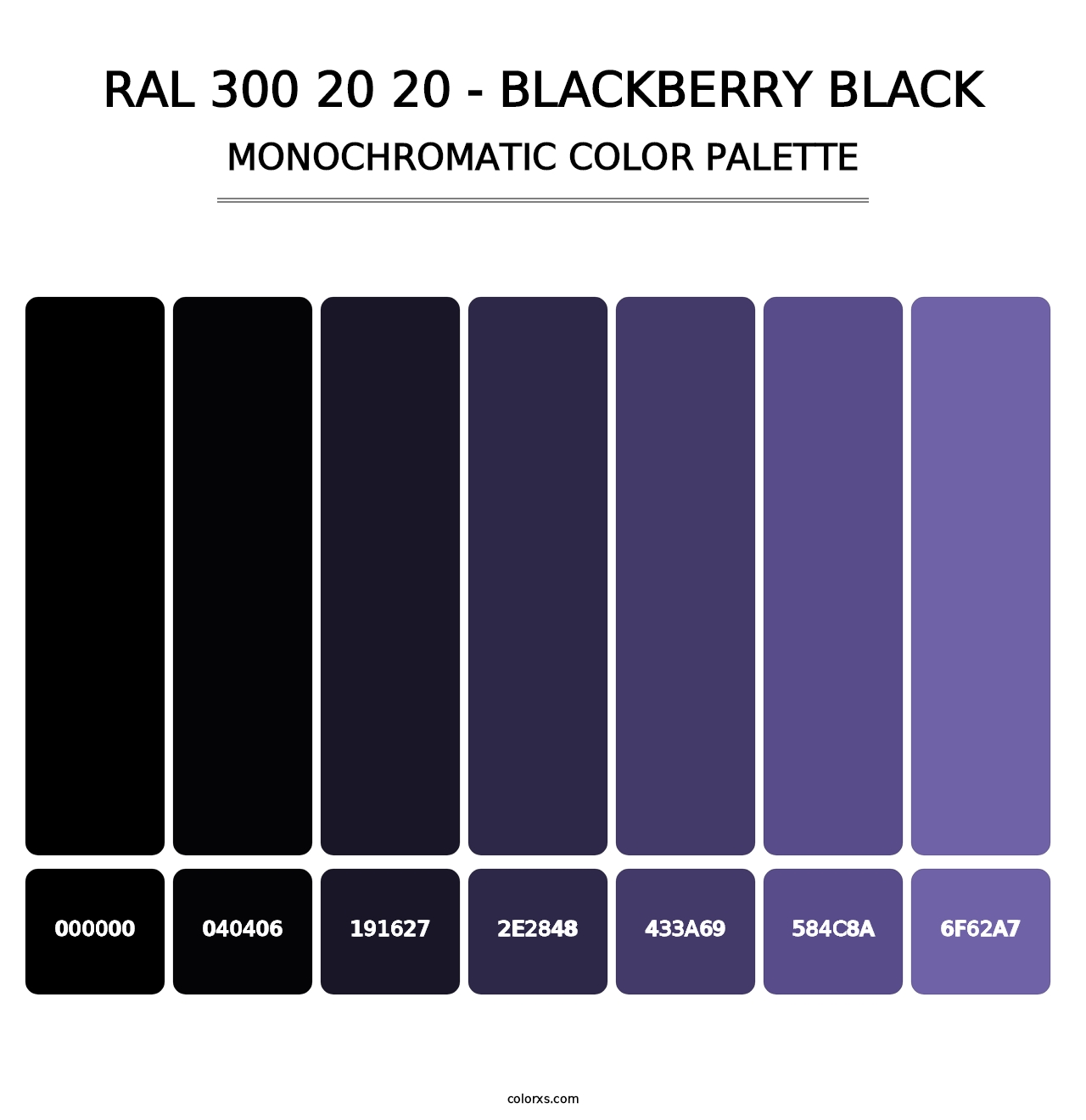 RAL 300 20 20 - Blackberry Black - Monochromatic Color Palette