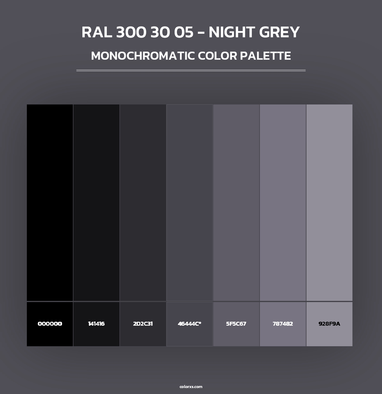 RAL 300 30 05 - Night Grey - Monochromatic Color Palette