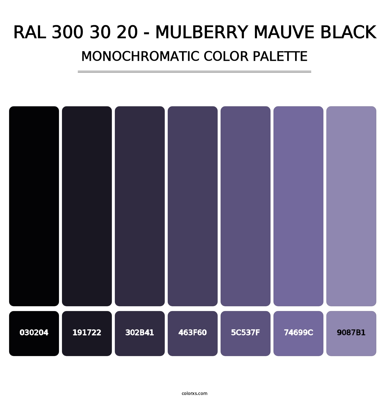 RAL 300 30 20 - Mulberry Mauve Black - Monochromatic Color Palette