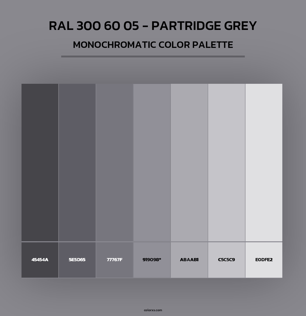 RAL 300 60 05 - Partridge Grey - Monochromatic Color Palette