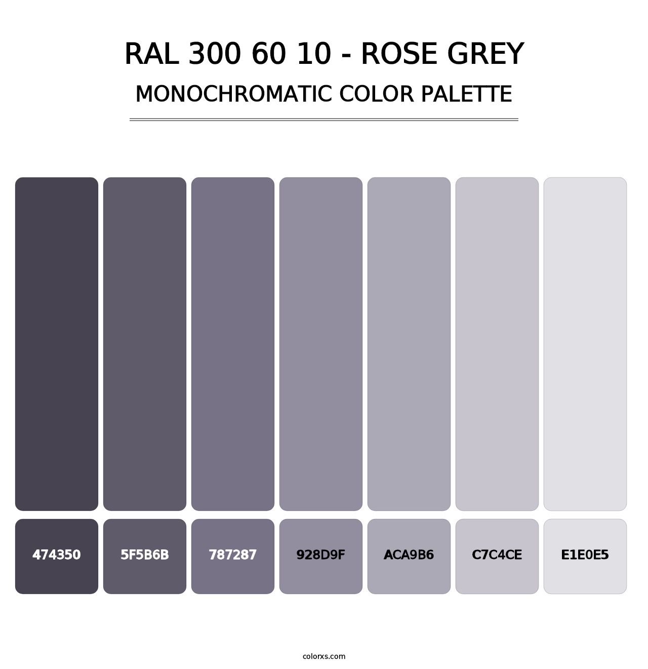 RAL 300 60 10 - Rose Grey - Monochromatic Color Palette