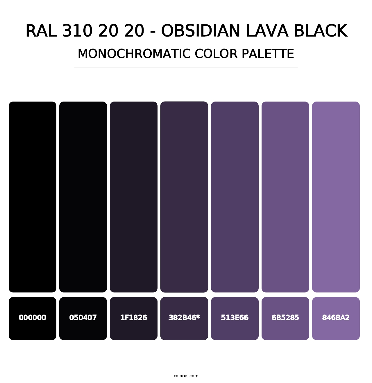 RAL 310 20 20 - Obsidian Lava Black - Monochromatic Color Palette