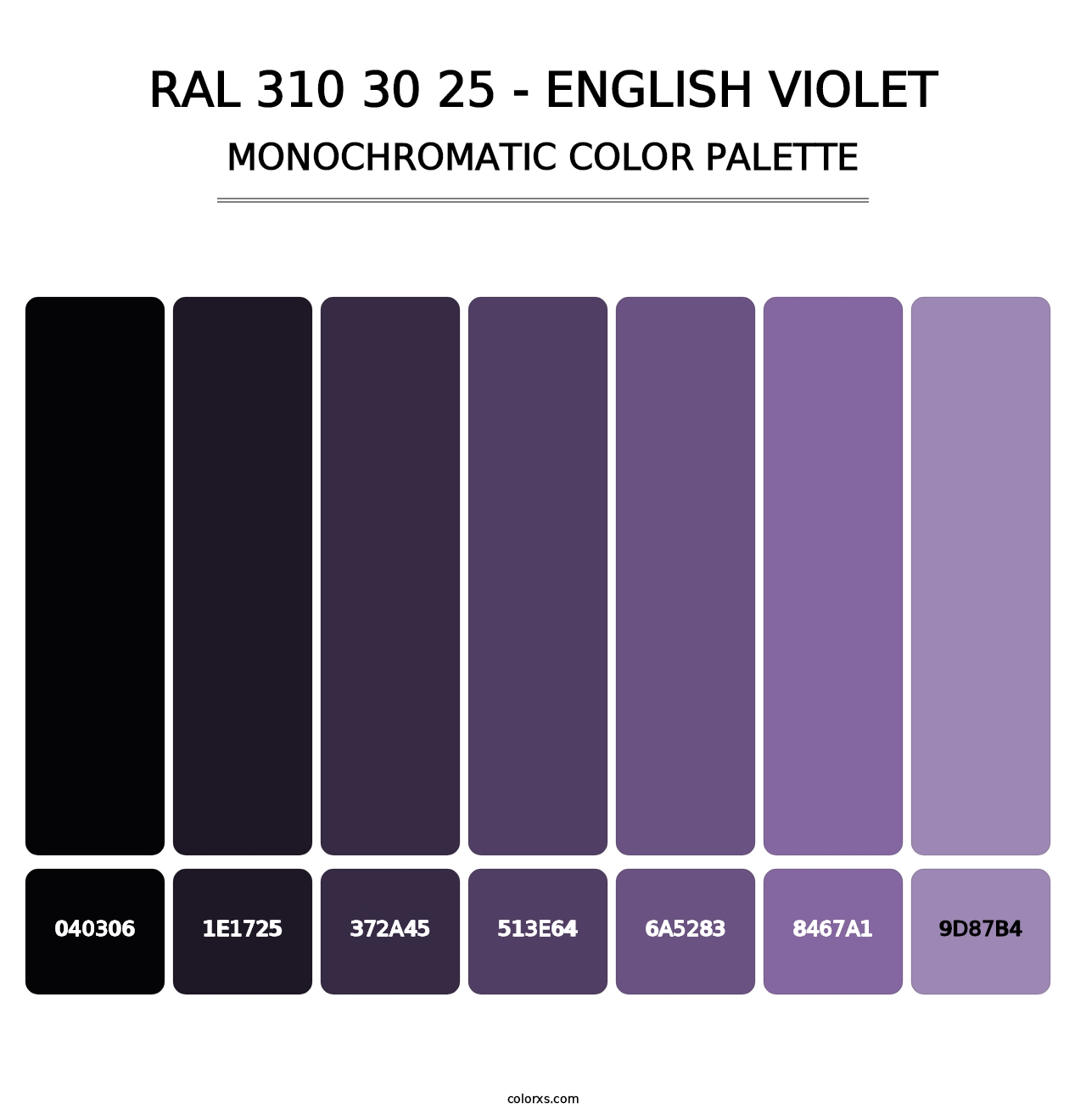 RAL 310 30 25 - English Violet - Monochromatic Color Palette