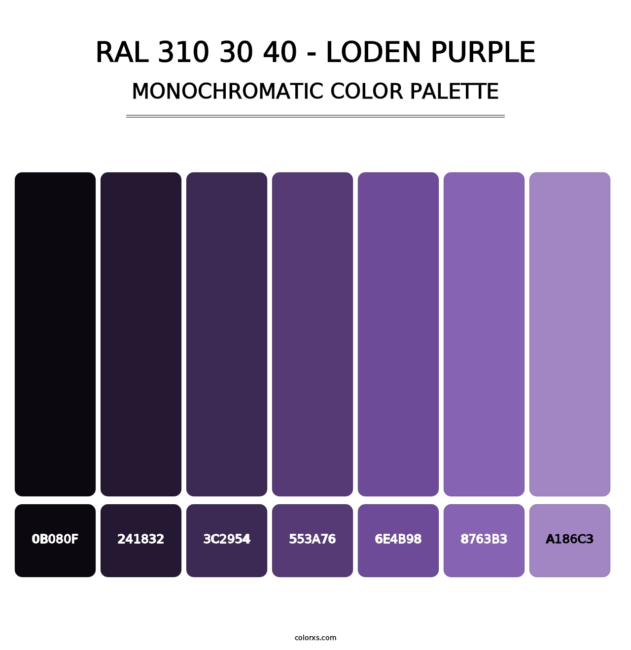 RAL 310 30 40 - Loden Purple - Monochromatic Color Palette
