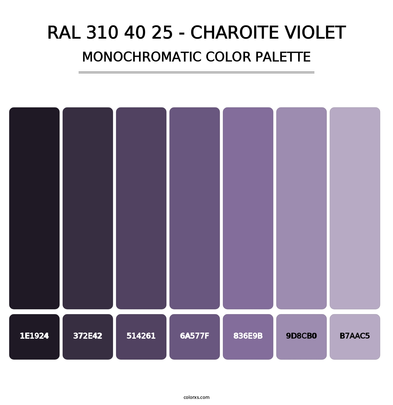 RAL 310 40 25 - Charoite Violet - Monochromatic Color Palette