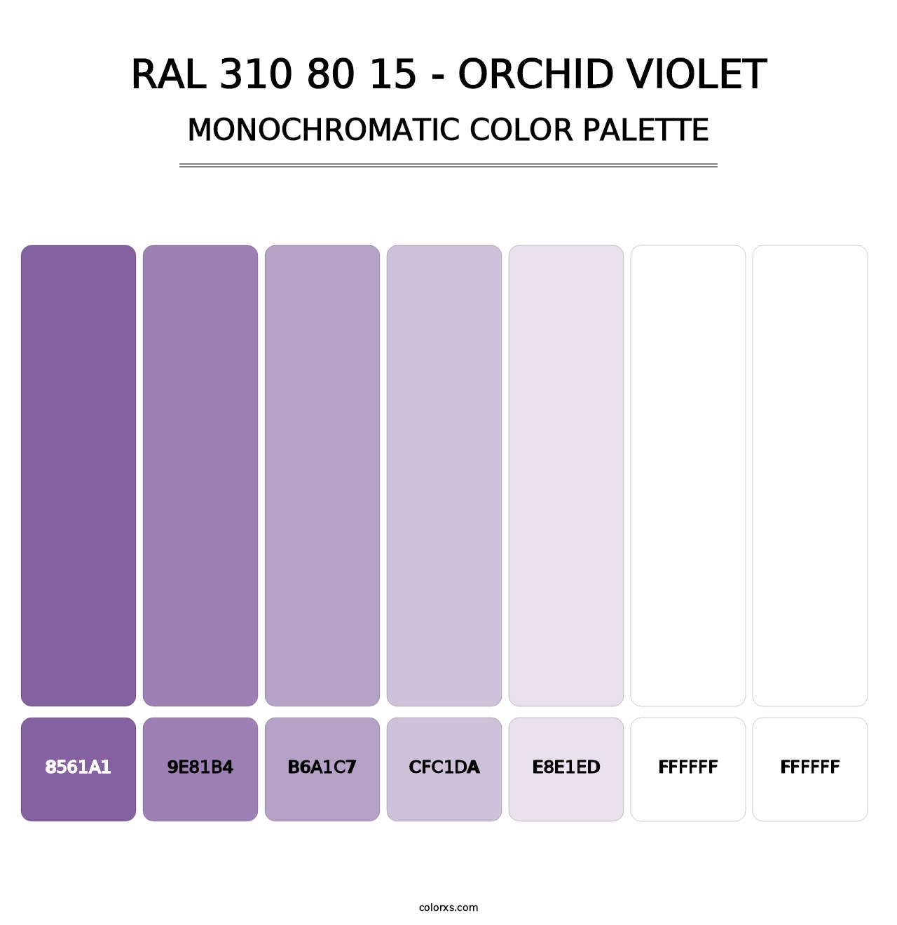RAL 310 80 15 - Orchid Violet - Monochromatic Color Palette