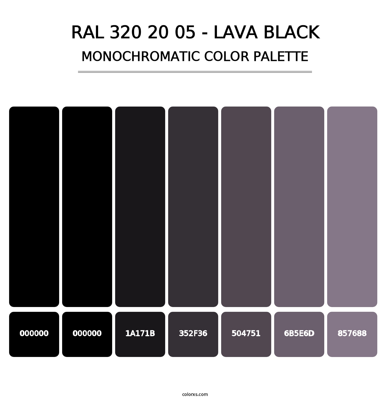 RAL 320 20 05 - Lava Black - Monochromatic Color Palette