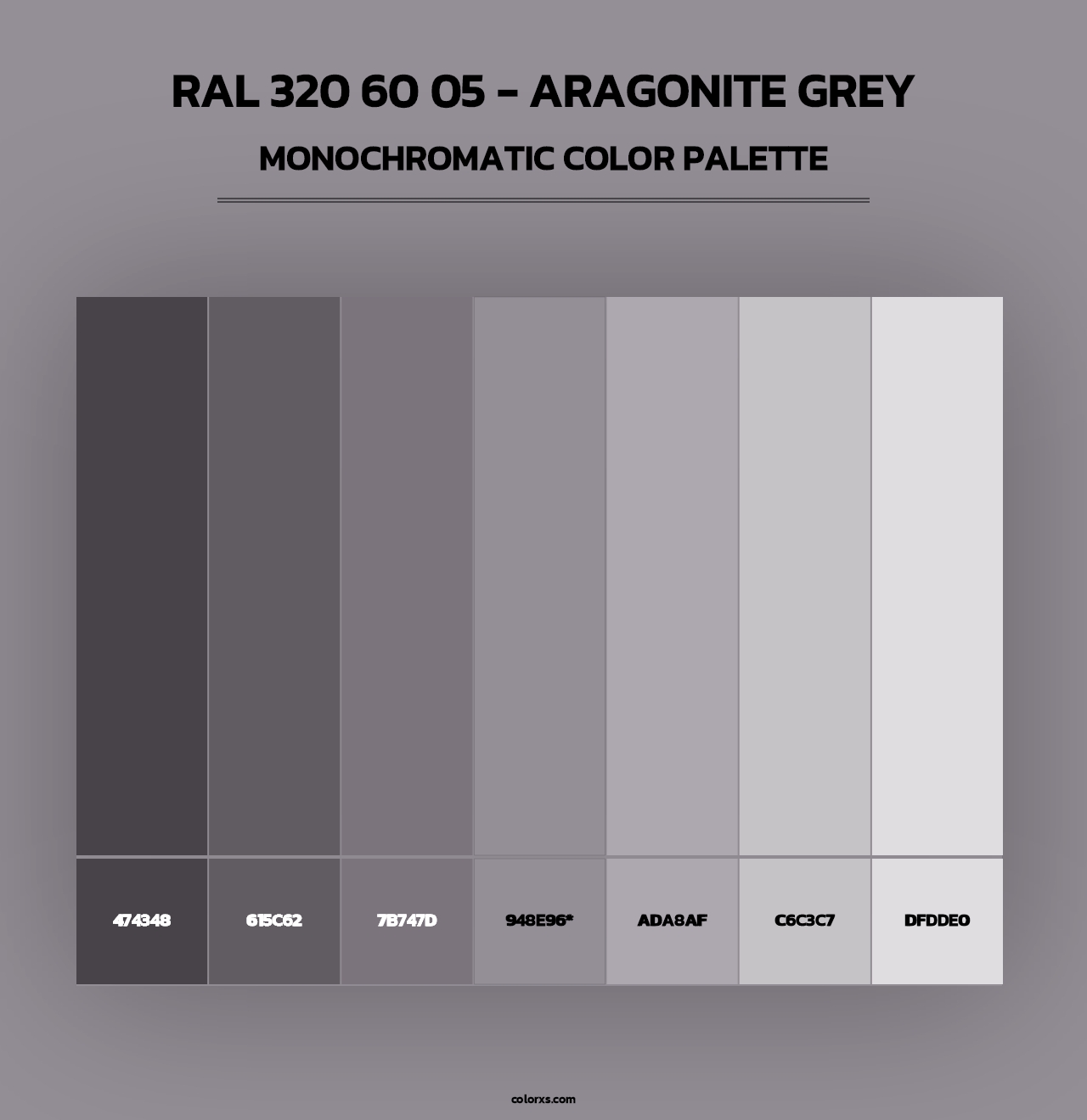 RAL 320 60 05 - Aragonite Grey - Monochromatic Color Palette