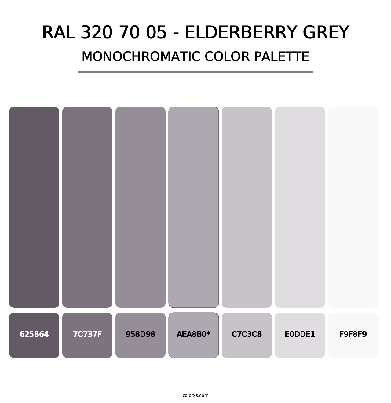 RAL 320 70 05 - Elderberry Grey - Monochromatic Color Palette