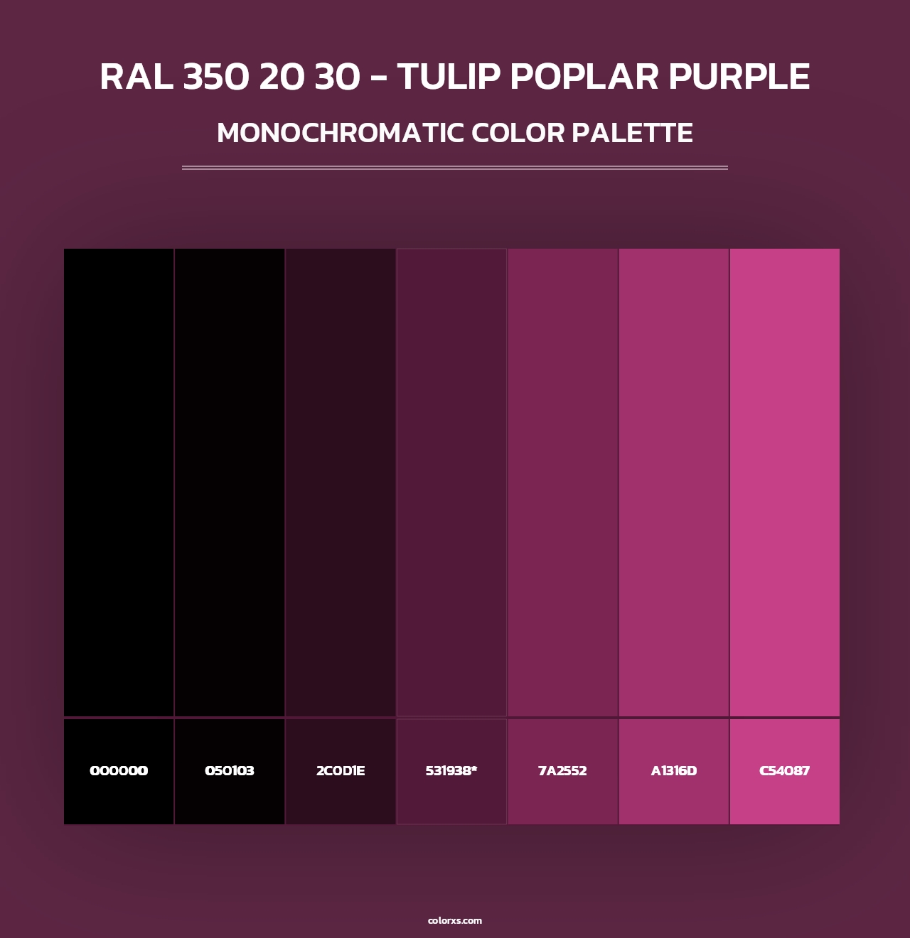 RAL 350 20 30 - Tulip Poplar Purple - Monochromatic Color Palette