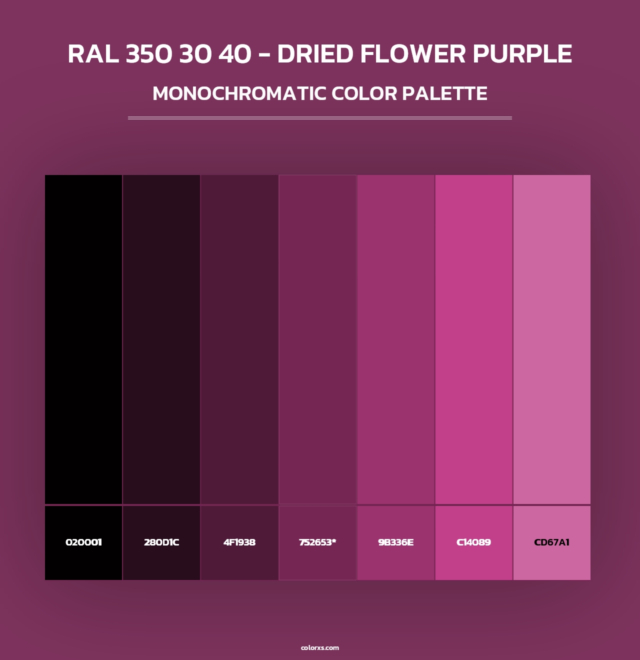 RAL 350 30 40 - Dried Flower Purple - Monochromatic Color Palette