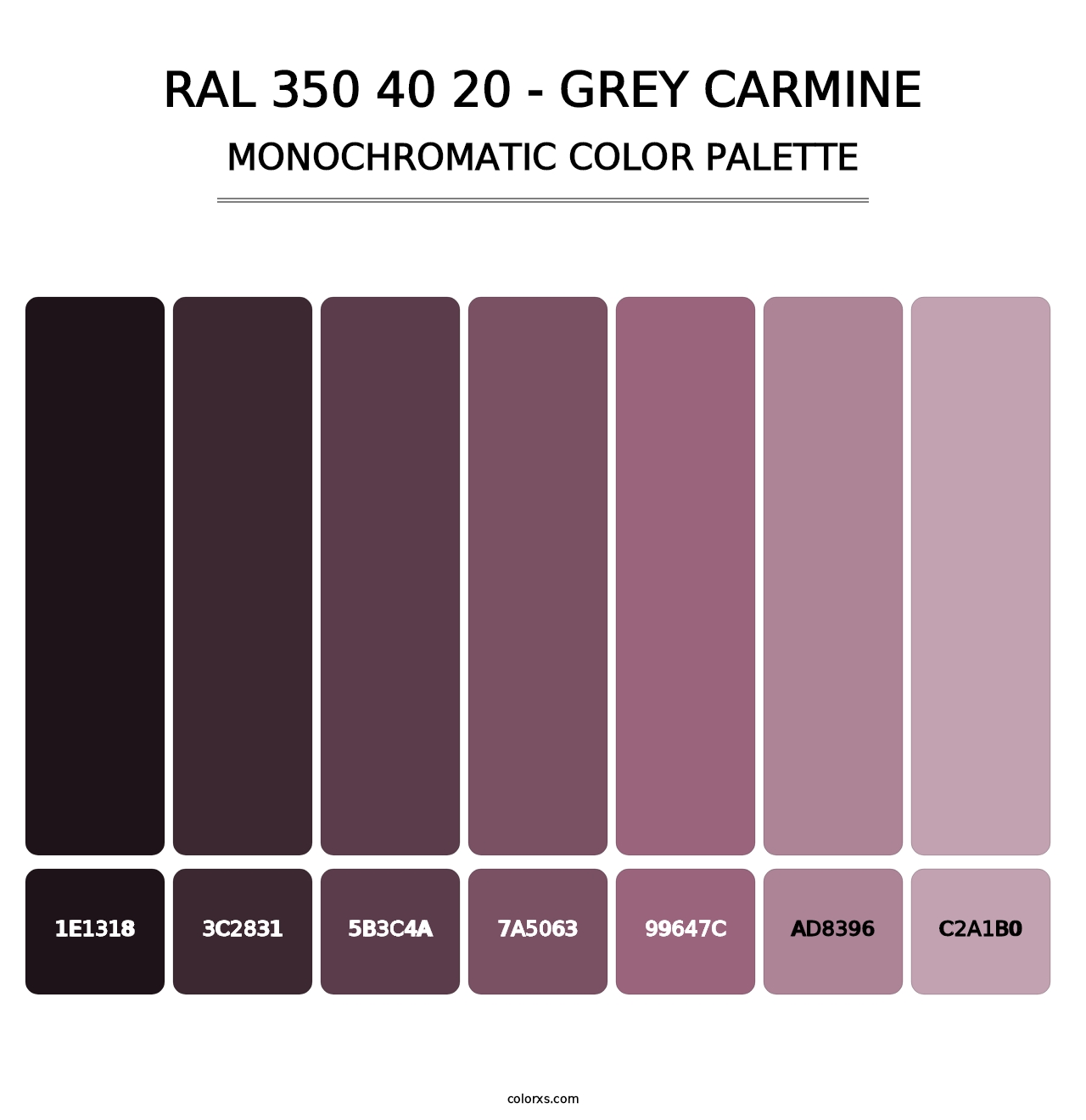 RAL 350 40 20 - Grey Carmine - Monochromatic Color Palette