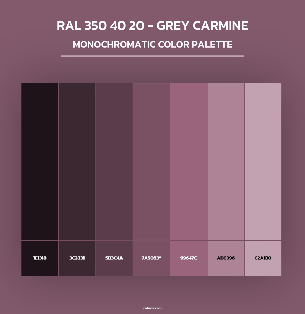 RAL 350 40 20 - Grey Carmine - Monochromatic Color Palette