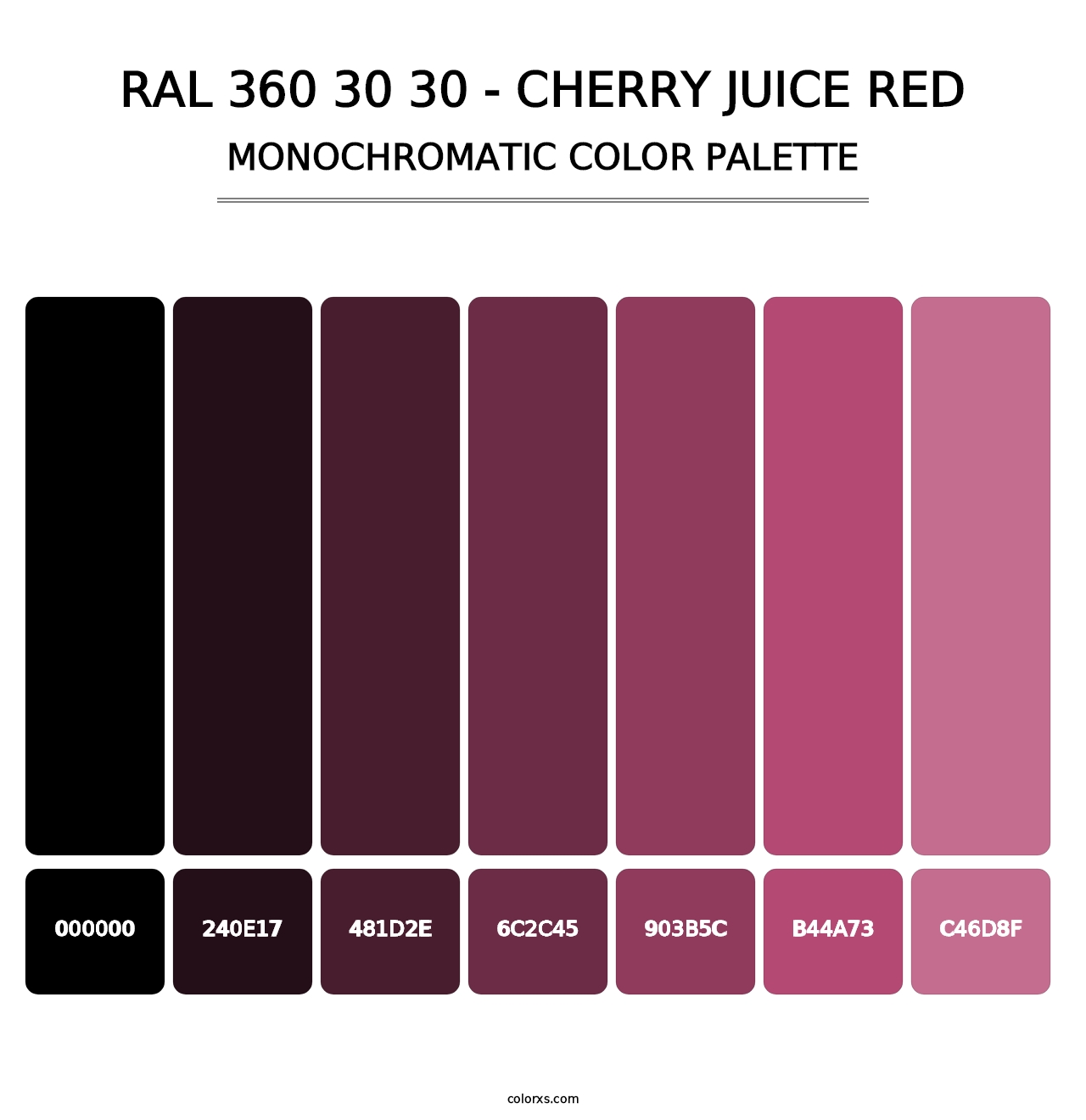 RAL 360 30 30 - Cherry Juice Red - Monochromatic Color Palette