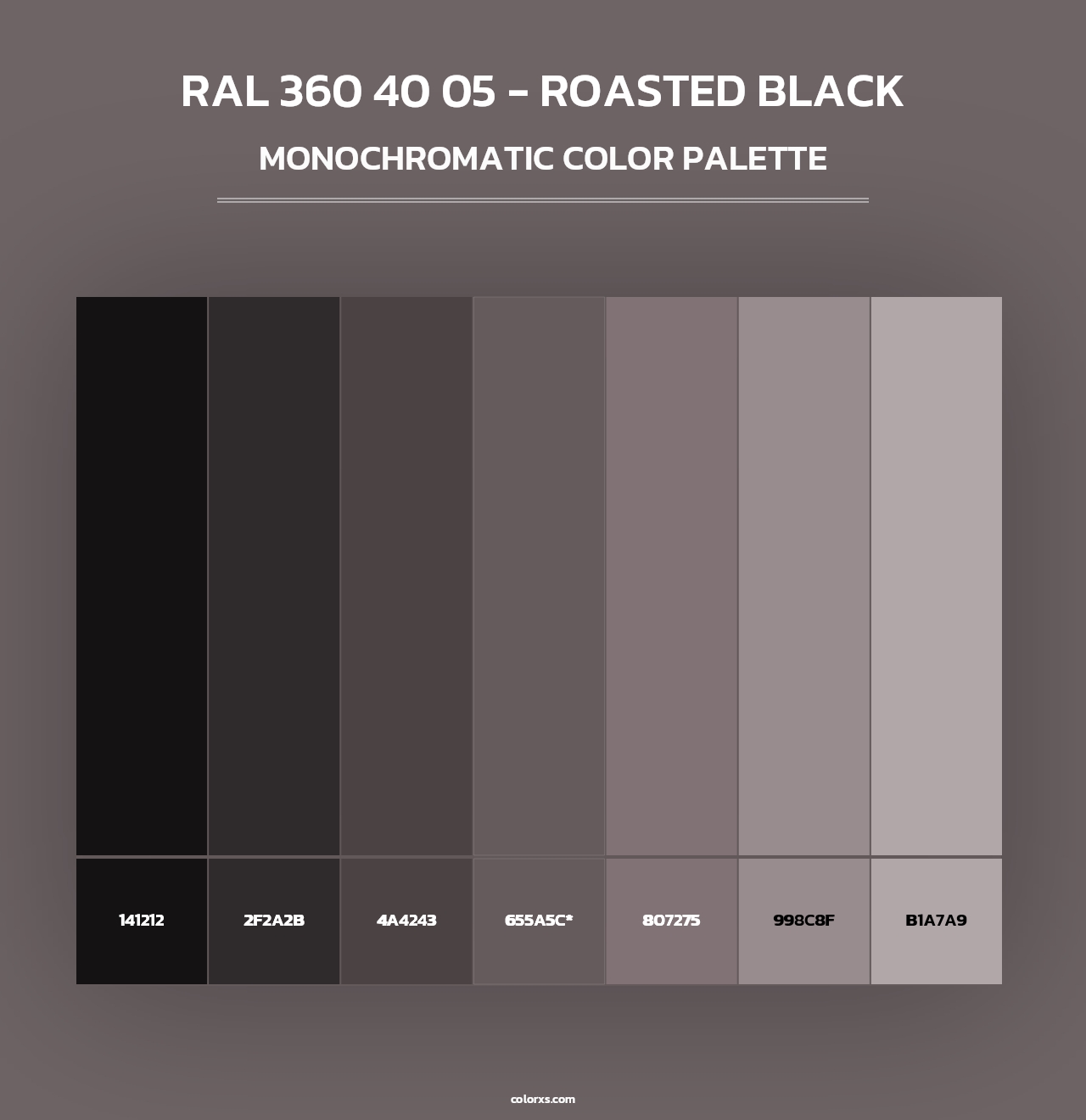 RAL 360 40 05 - Roasted Black - Monochromatic Color Palette