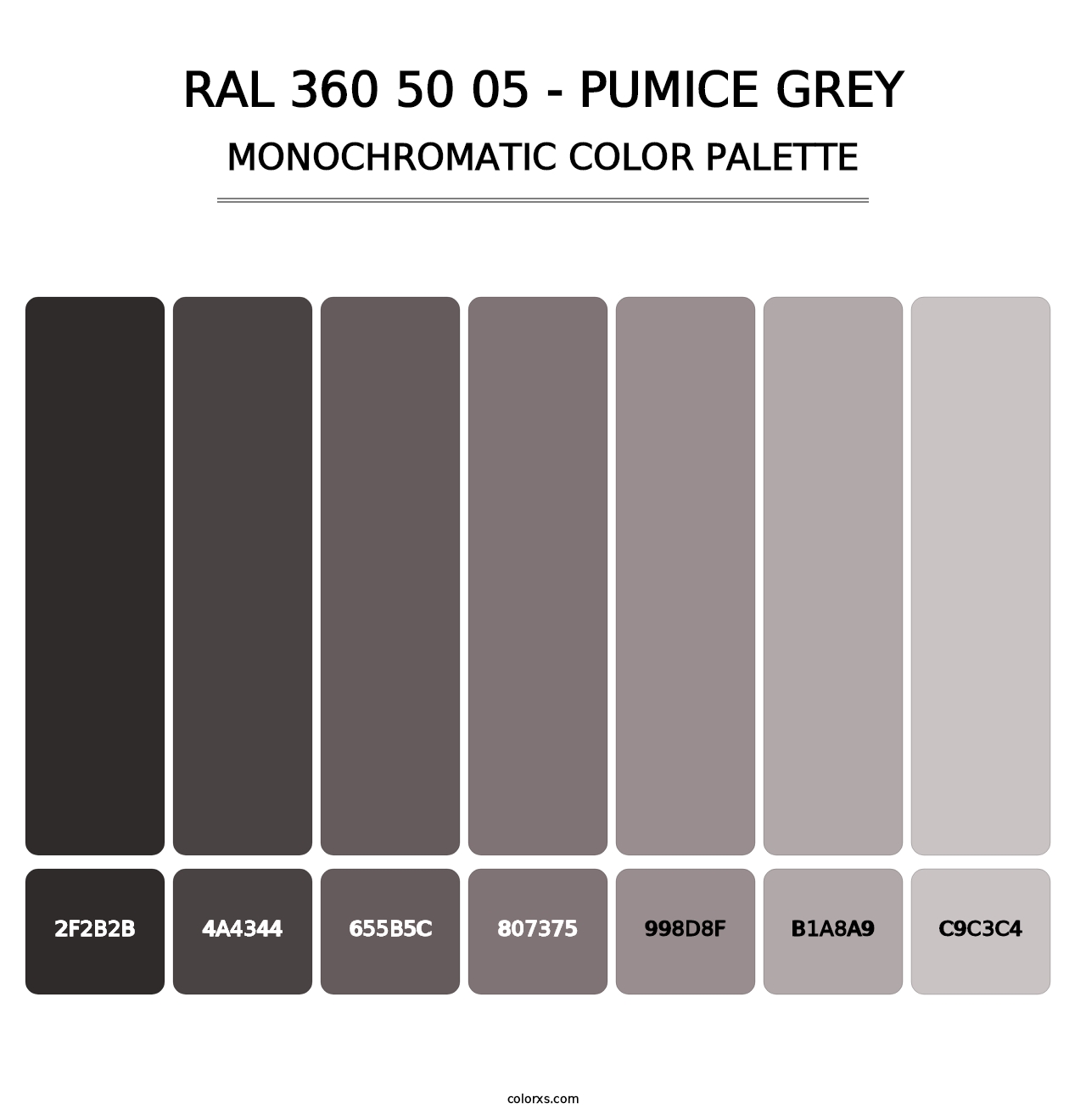 RAL 360 50 05 - Pumice Grey - Monochromatic Color Palette
